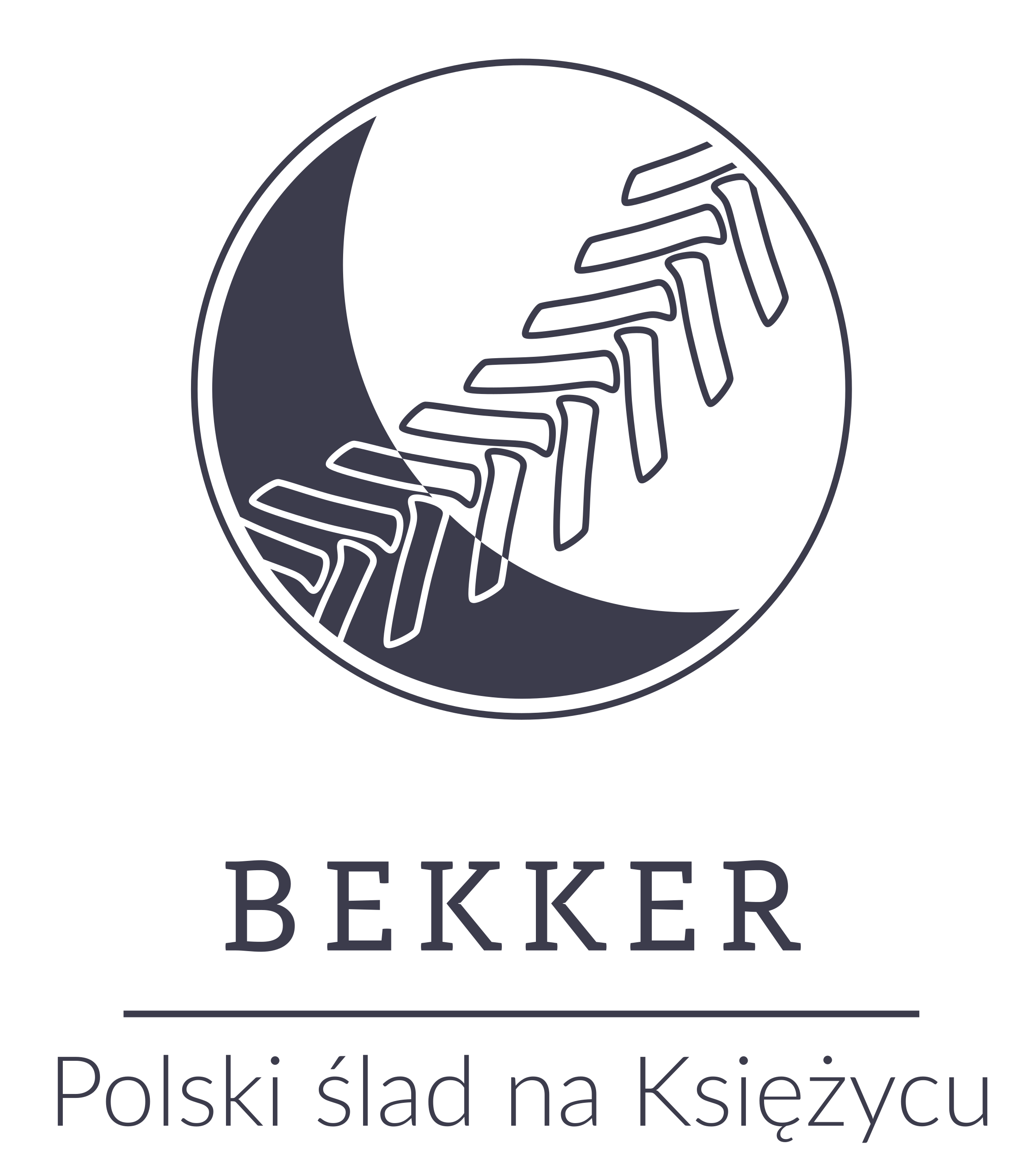 Projekt Bekker | Politechnika Warszawska Wydział Samochodów i Maszyn ...